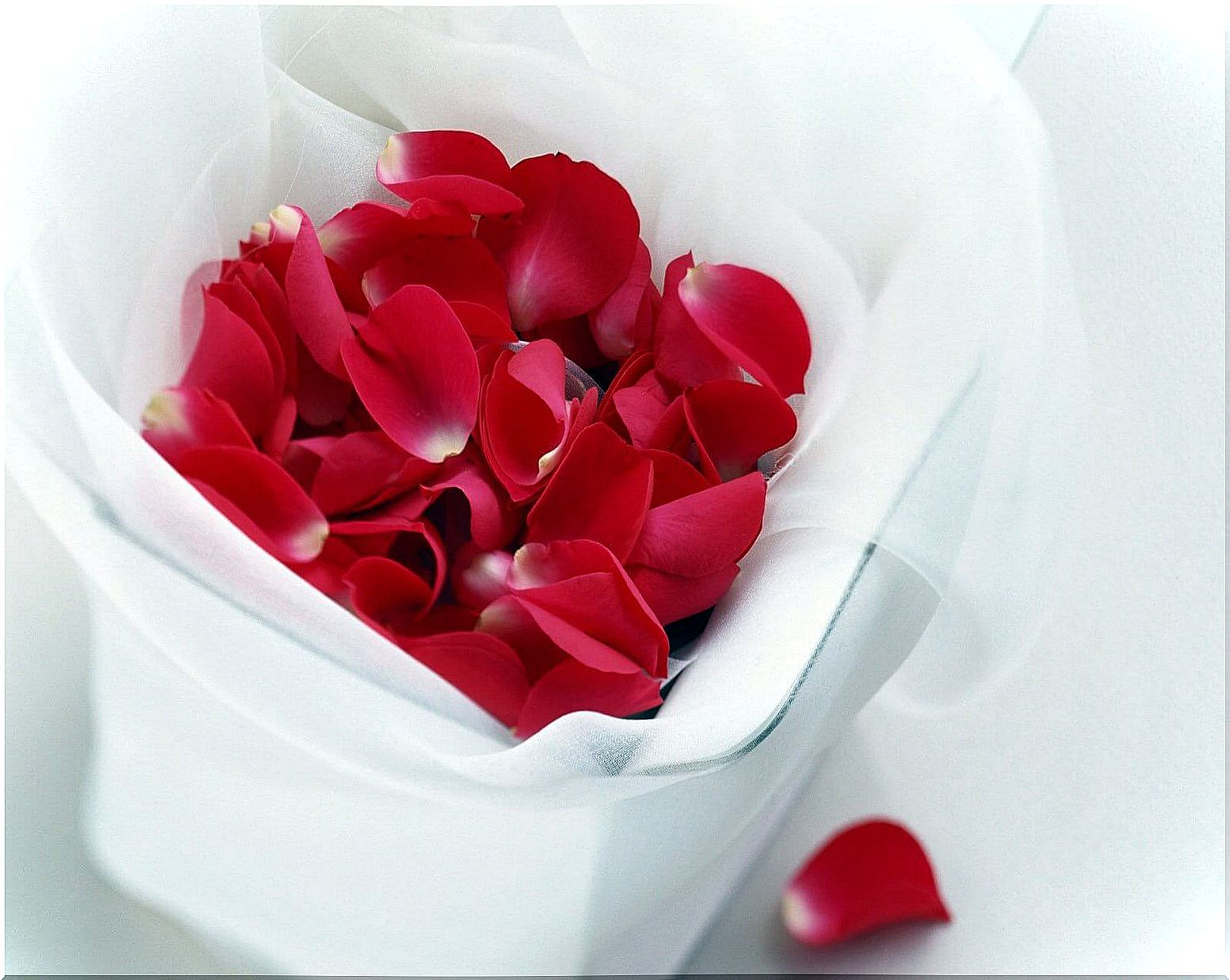 Rose petals