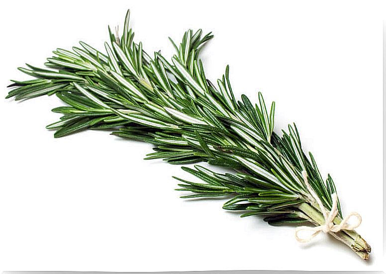 Rosemary joint pain