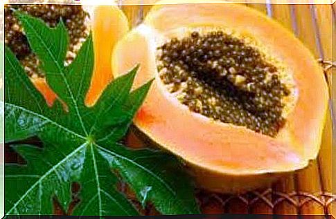 13 benefits of papaya leaves