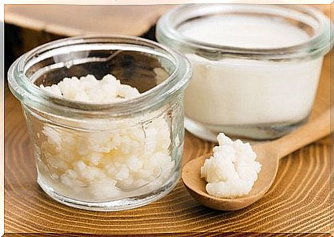 Kefir fermented food