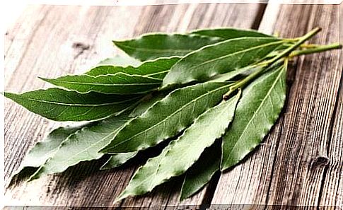 eucalyptus is one of the best natural remedies for allergies