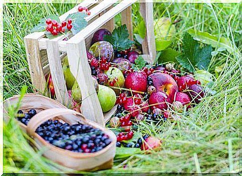 Red fruits are very good for the body