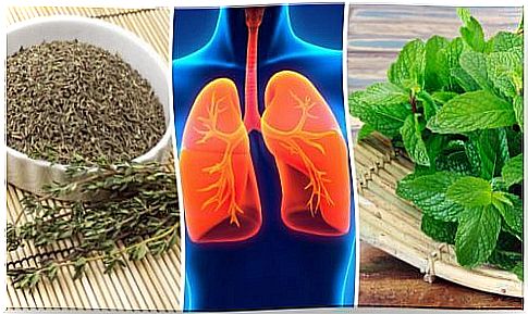 8 herbs to improve lung health