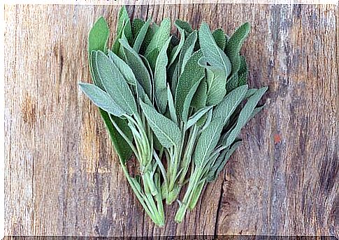 sage to purify the lungs