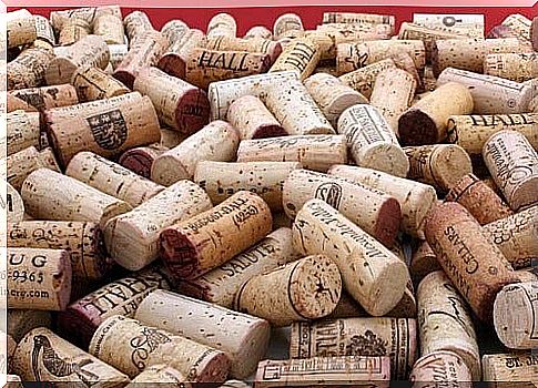 Cork stoppers