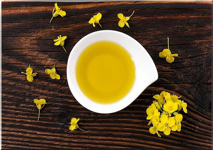 Canola oil: everything you need to know