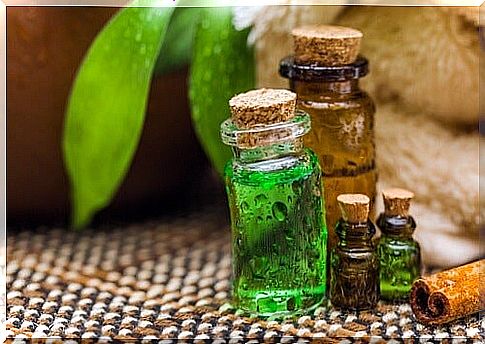 Tea tree oils for the refrigerator