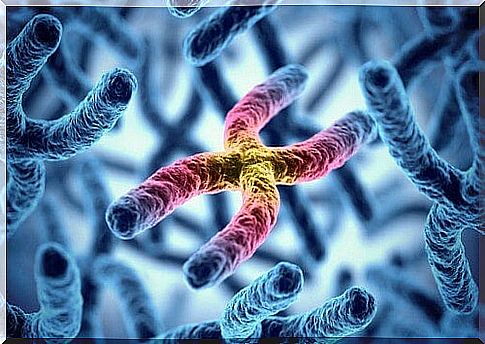 Genetic causes of color blindness.