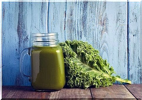 Cream of kale and spinach rich in vitamins