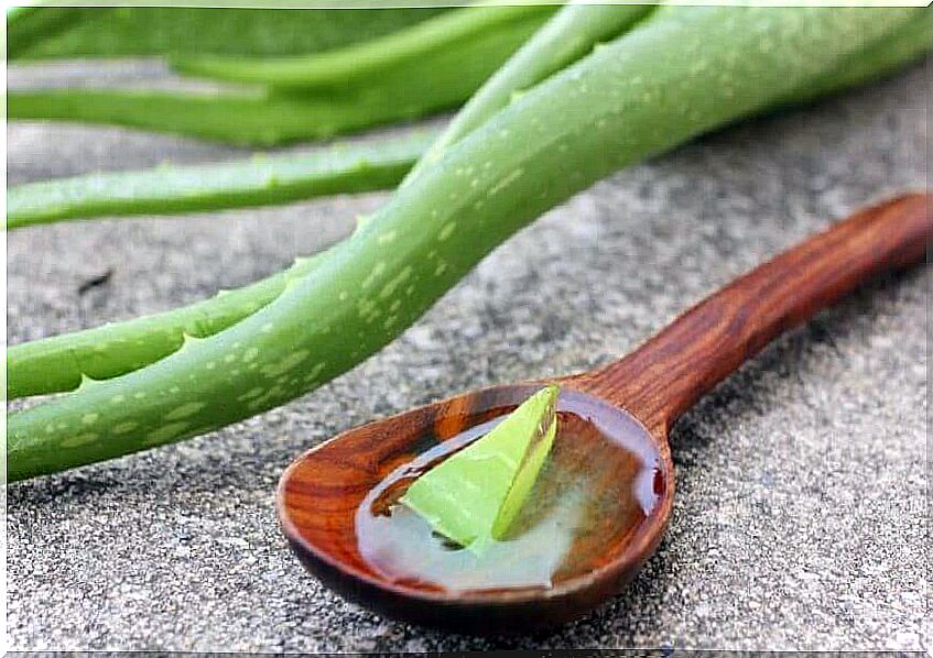 Aloe vera for dark spots on the skin