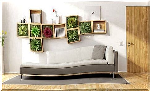 Furnish the living room with indoor plants