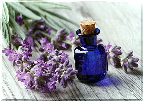 Lavender essential oil