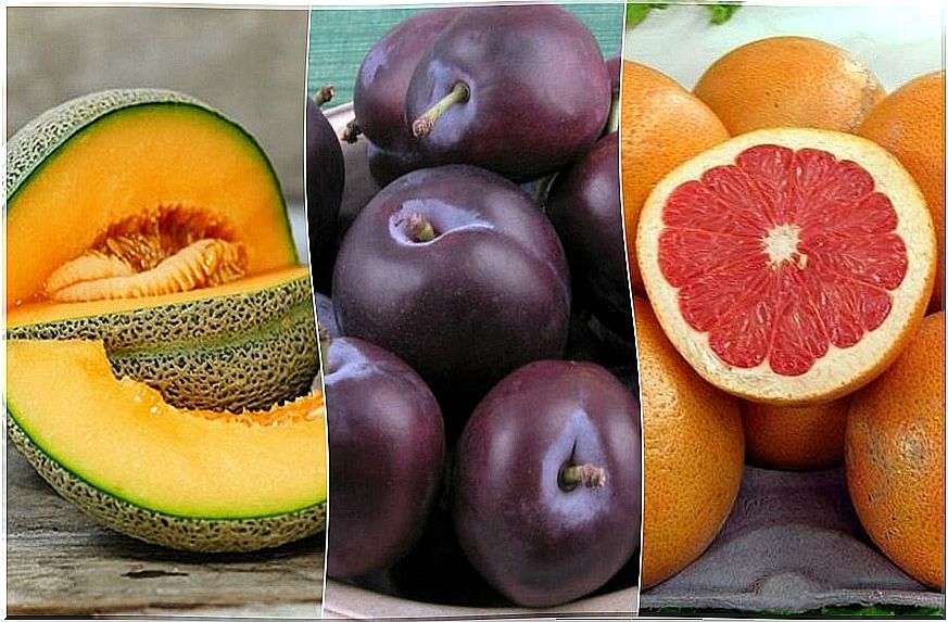 Fruits rich in water to hydrate the body