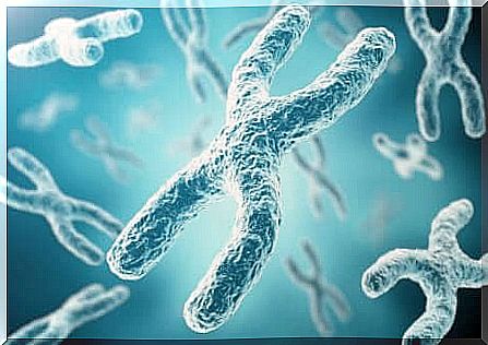 Chromosomes of congenital deafness.