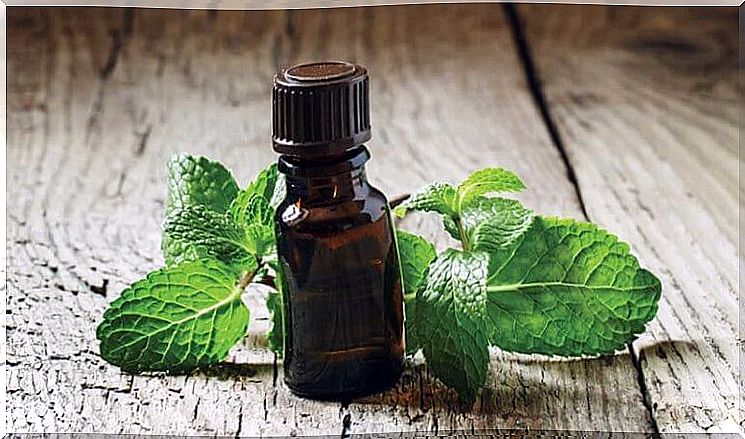 Mint essential oil