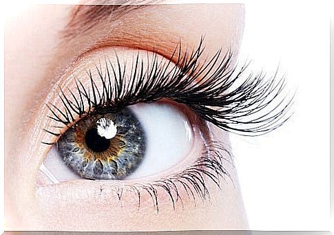 Grow your lashes using natural methods