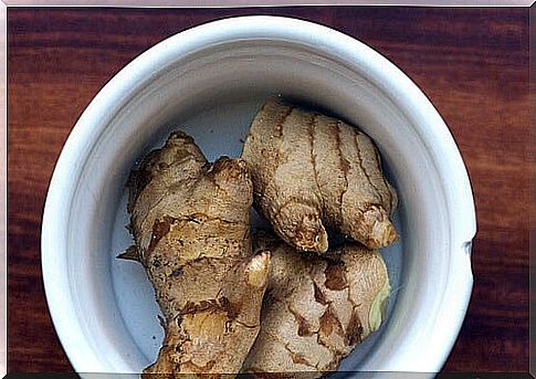 choose roots to grow ginger