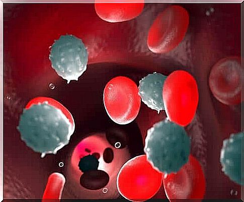 Blood cells