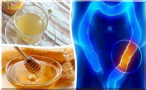 Honey and apple cider vinegar: two ingredients to cleanse the colon