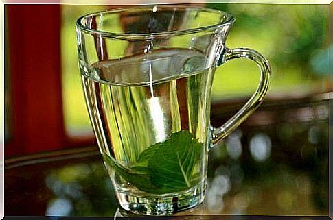 Infusion of basil to lower body temperature