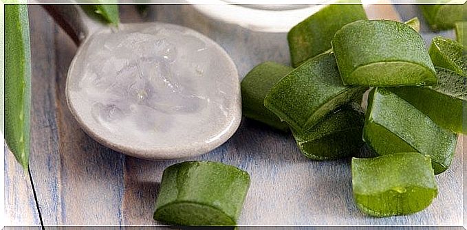 How to make natural aloe vera and honey soap