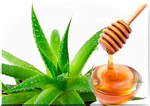 natural soap aloe vera and honey