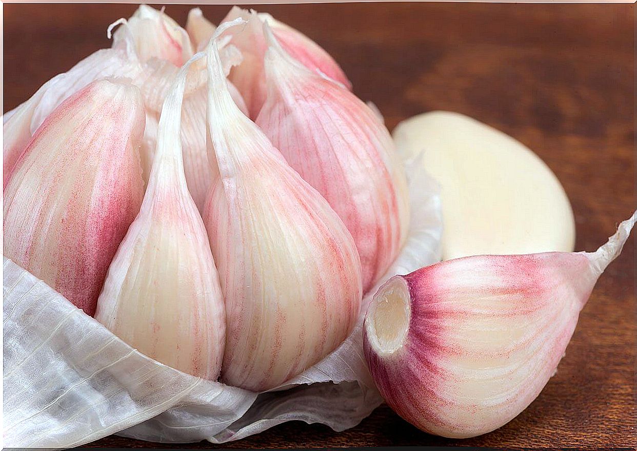 Garlic cloves