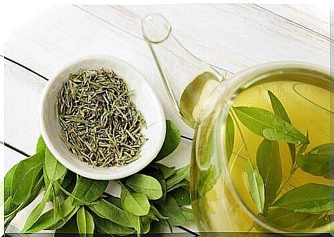 Increase longevity with green tea