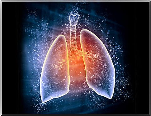 How to regenerate the lungs