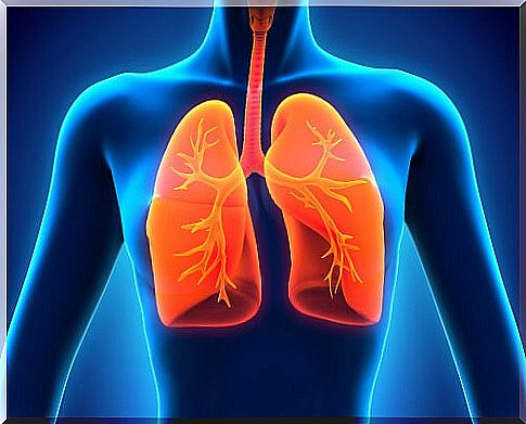 Lungs and respiration