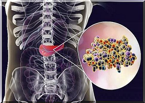 Insulin produced by the pancreas