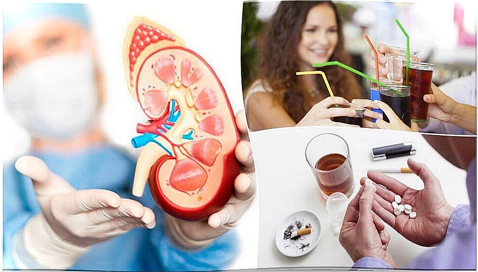 Kidneys: 8 habits that can affect your health