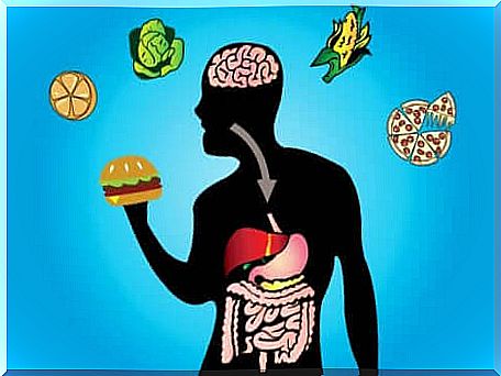 Metabolic flexibility and food.