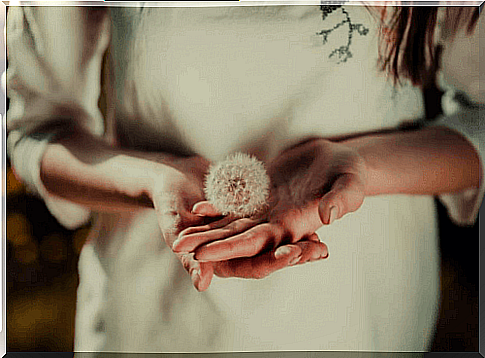 girl with flower in hand