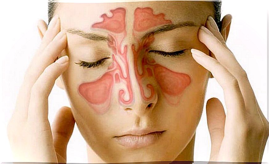 Paranasal sinuses: 5 facts to know