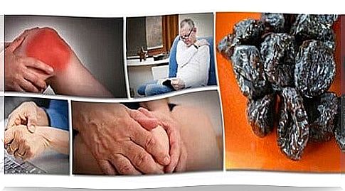 Prunes against bone loss