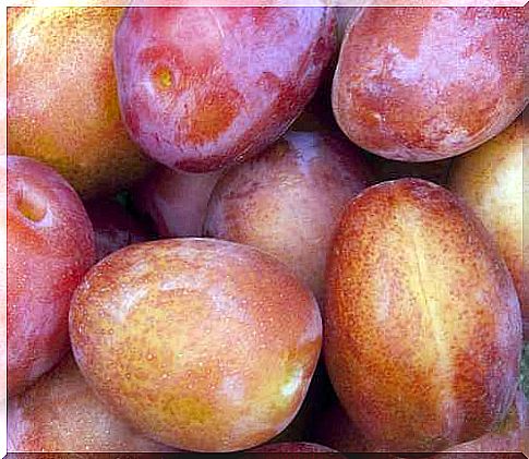 Plums