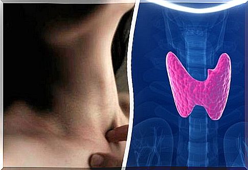 Regulate the thyroid by means of certain foods