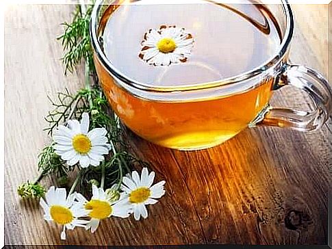 Chamomile and gastroesophageal reflux