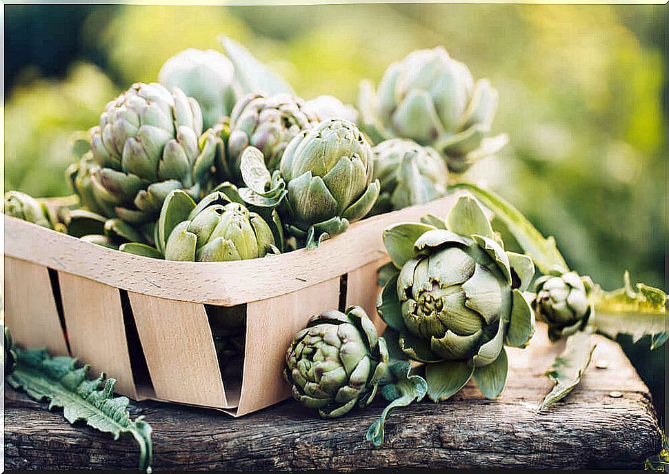 Remedies for fatty liver: artichokes