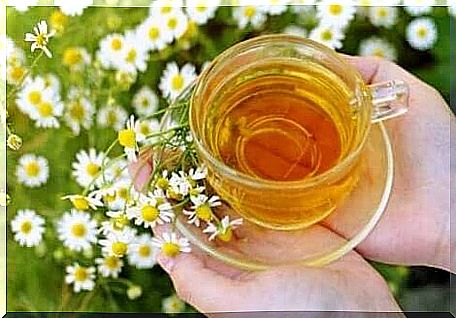 Chamomile for the sensitive scalp.