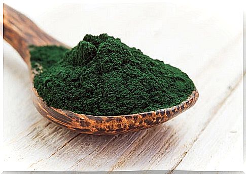 Spirulina powder on a wooden spoon