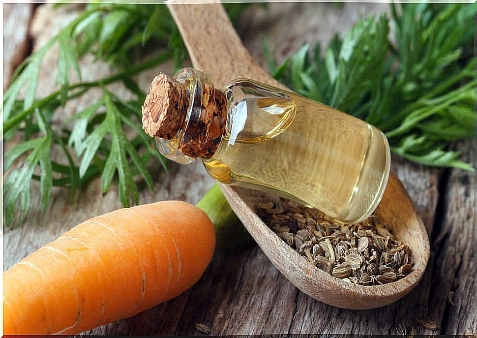 Strong and healthy hair: 3 carrot oil masks