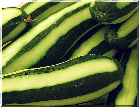 Cucumbers 