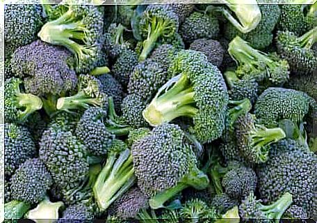 Broccoli