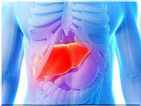 Effects of sugar and the liver